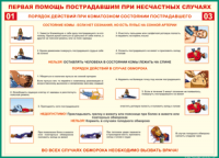 Таблица Порядок действий при коматозном состоянии пострадавшего 1000*1400 винил - «globural.ru» - Можайск