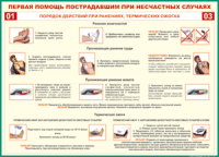 Таблица Порядок действий при ранениях и термических ожогах	 1000*1400 винил - «globural.ru» - Можайск