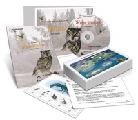 Комбинированное наглядное пособие «Животные» - «globural.ru» - Можайск