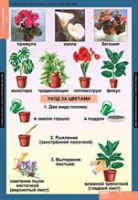 Окружающий мир 1 класс (комплект таблиц) - «globural.ru» - Можайск