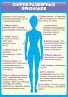 Стенд "Снятие мерок" (вариант 2) - «globural.ru» - Можайск