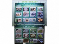 Комбинированный модульный комплекс "Лого-биолог" - «globural.ru» - Можайск