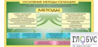 Стенд "Методы селекции и биотехнологии" - «globural.ru» - Можайск