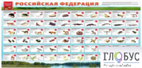 Стенд "Красная книга РФ" - «globural.ru» - Можайск