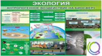 Стенд "Экология. Антропогенное воздействие на биосферу" - «globural.ru» - Можайск