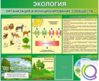 Стенд "Экология. Организация и функционирование сообществ" - «globural.ru» - Можайск