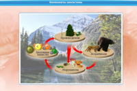 Интерактивные курсы. Биология 7 класс. Базовый - «globural.ru» - Можайск