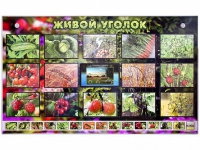 Комплект оборудования "Живой уголок" (растения) с тифлопереводом и сурдокомментариями - «globural.ru» - Можайск