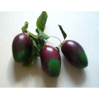 Муляж "Ветка манго" - «globural.ru» - Можайск