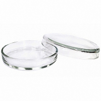 Чашка Петри 100х20 - «globural.ru» - Можайск