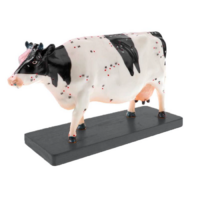 Электрифицированный макет коровы на каркасе - «globural.ru» - Можайск