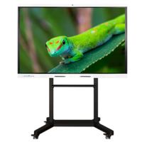 Интерактивный комплекс Geckotouch ​​​​​​​75RK - «globural.ru» - Можайск