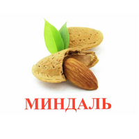 Карточки Домана "Орехи-Ягоды-2" - «globural.ru» - Можайск