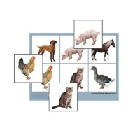 Лото "Домашние животные" (4 планшета, 24 карточки, цветное, ламинированное) - «globural.ru» - Можайск