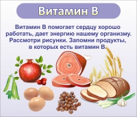 Стенд "Витамин В" - «globural.ru» - Можайск