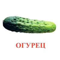 Карточки Домана "Овощи-Зелень-1" - «globural.ru» - Можайск