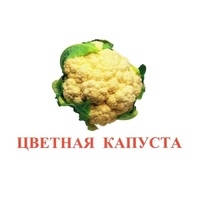 Карточки Домана "Овощи-Зелень-2" - «globural.ru» - Можайск
