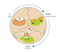 Развивающий пазл Навито "Эволюция" - «globural.ru» - Можайск