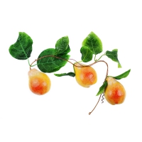 Муляж "Ветка груши" - «globural.ru» - Можайск