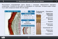 Интерактивные курсы. Биология 5 класс. Расширенный - «globural.ru» - Можайск