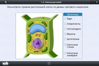 Интерактивные курсы. Биология 9 класс. Расширенный - «globural.ru» - Можайск