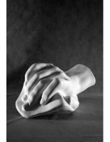 Кисть Давида - «globural.ru» - Можайск