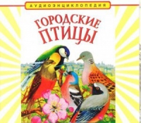 CD "Аудиоэнциклопедия. Городские птицы" - «globural.ru» - Можайск