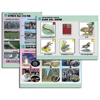 Комплект таблиц для  начальной школы "Окружающий мир. Экология" - «globural.ru» - Можайск