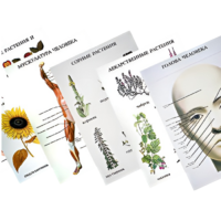 Таблицы по природоведению 1-3 класс - «globural.ru» - Можайск