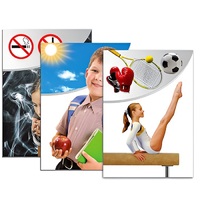 Модель-аппликация "Здоровье человека" - «globural.ru» - Можайск