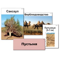 Модель-аппликация "Природные зоны России" - «globural.ru» - Можайск