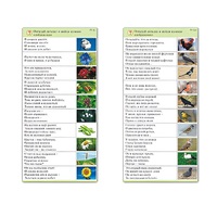 Комплект карточек (10) "Обучающий калейдоскоп. Природа" - «globural.ru» - Можайск