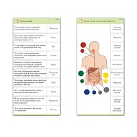 Комплект карточек (10) "Обучающий калейдоскоп. Человек" - «globural.ru» - Можайск