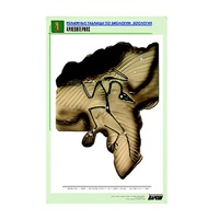 Рельефная таблица "Археоптерикс" (формат А1, матовое ламинир.) - «globural.ru» - Можайск