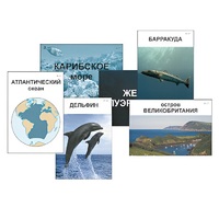 Модель-аппликация "Океаны. Знакомство" (ламинированная) - «globural.ru» - Можайск