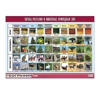 Таблица демонстрационная "Почвы, растения и животные природных зон" (винил 70x100) - «globural.ru» - Можайск