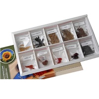 Коллекция "Плоды сельскохозяйственных растений" (вариант 2) - «globural.ru» - Можайск