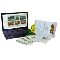 Гербарий натурально-интерактивный "Лекарственные растения" - «globural.ru» - Можайск