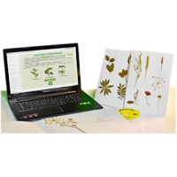 Гербарий натурально-интерактивный "Морфология растений" - «globural.ru» - Можайск