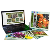 Гербарий натурально-интерактивный "Основные группы растений. Грибы. Лишайники" - «globural.ru» - Можайск