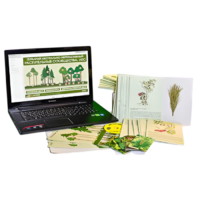 Гербарий натурально-интерактивный "Растительные сообщества. Лес" - «globural.ru» - Можайск