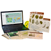 Гербарий натурально-интерактивный к курсу основ общей биологии - «globural.ru» - Можайск