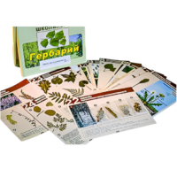 Гербарий к курсу основ общей биологии - «globural.ru» - Можайск