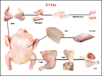 Правила разделки мясных туш "Курица" 1000*1400 винил - «globural.ru» - Можайск