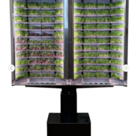 Вертикальная  ферма «Моя микрозелень» комплектация  «Театро настенная» - «globural.ru» - Можайск