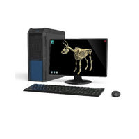 Макет масштабный «Скелет Коровы» Масштаб 1:2 - «globural.ru» - Можайск