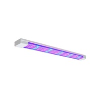 Фитолампа - «globural.ru» - Можайск