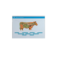 Стенд-планшет светодинамический "Изучение нервной системы сельскохозяйственных животных" со сменными панелями - «globural.ru» - Можайск