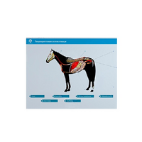 Стенд-планшет светодинамический "Изучение пищеварительной системы сельскохозяйственных животных" со сменными панелями - «globural.ru» - Можайск