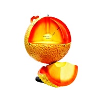 Модель "Строение Солнца" (разборная) - «globural.ru» - Можайск